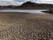 19 مليون شخص يواجهون خطر الجفاف بكاليفورنيا.. وحاكم الولاية يحظر غسل السيارات