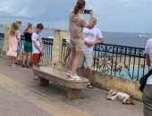 مطارا الغردقة ومرسى علم يستقبلان 177 رحلة طيران على مدار ساعات اليوم 