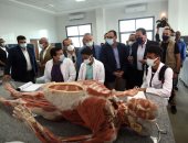 رئيس الوزراء يتفقد المجمع الطبى بالسويس.. ويوجه بتوفير المعدات والأجهزة الطبية لسرعة تقديم الخدمات للمواطنين.. مصطفى مدبولى: نعمل على تنفيذ منظومة التأمين الصحى الشامل بكفاءة عالية وفقا لتوجيهات الرئيس السيسي