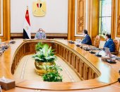 الرئيس السيسي يوجه بخروج كافة تجهيزات المتحف المصرى الكبير على أكمل وجه من النواحى الهندسية والأثرية واستخدام التكنولوجيا فى التأمين وتطبيق أفضل التقنيات العصرية بالعرض..ويستعرض استعدادات احتفالية "طريق الكباش"