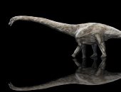 دراسة جديدة تكشف عن أطول ديناصور على الإطلاق فى التاريخ
