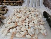 "بيض السبيط".. أجمد أكلات الطاقة فى سوق الأسماك ببورسعيد.. لايف وصور
