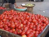 الطماطم الـ4 بـ10 جنيهات والكوسة الـ3 بـ10.. جولة بسوق الخضروات والفاكهة بالشرقية