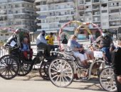 مستقلو الحنطور .. 132 سائحا فى جولة بشوارع بورسعيد.. صور