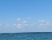 لا تخدعك شمس الإسكندرية.. تحذيرات من طقس الغد والمحافظ يعطل الدراسة (فيديو)