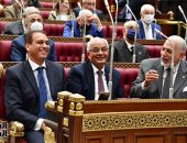 الهيئات البرلمانية بالشيوخ: قانون حقوق المسنين ترجمة لاهتمام الدولة بهذه الفئة