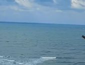 تجدد الأمطار على الإسكندرية.. وتعطل الدراسة والعمل بالمصالح الحكومية.. لايف