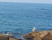 طقس الإسكندرية الآن.. هى دى سبورتنج اللى غرقت إمبارح فى النوة.. شوف حالها إيه دلوقتى