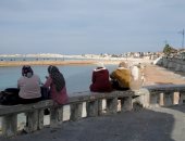 الدفء يعود إلى مطروح مع سطوع الشمس وتناثر السحب الخفيفة.. لايف وصور