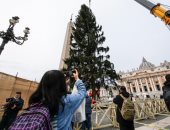 إيطاليا تتزين من أجل الكريسماس بشجرة عيد الميلاد بطول 28 مترا فى الفاتيكان