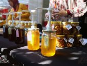 اليوم.. انطلاق مهرجان العسل المصرى بحديقة الأورمان بمشاركة 100 عارض