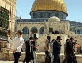 باختصار.. أهم الأخبار العالمية والعربية حتى منتصف الليل.. مصر تبهر العالم بحفل أسطورى خلال افتتاح طريق الكباش.. الأردن يطلب من رعاياه فى إثيوبيا المغادرة.. مقتل 3 جنود و11 مسلحا فى هجوم شمال بوركينا فاسو