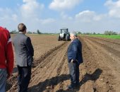 "زراعة الشرقية": استهداف زراعة 48 ألف فدان من محصول القمح على المصاطب