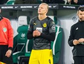 بوروسيا دورتموند يتصدر الدوري الألماني مؤقتا فى ليلة عودة هالاند.. فيديو