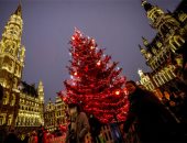"الكريسماس" فى بروكسل يبدأ مبكرا.. أشجار أعياد الميلاد تزين العاصمة البلجيكية