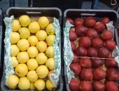 الإسكيمو في سوق العبور.. عمرك دخلت ثلاجة التفاح.. تعالى نوديك مكان حرارته 18 درجة تحت الصفر