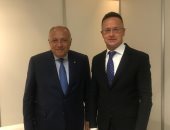 وزير الخارجية يبحث مع نظيره المجرى مواجهة التحديات الدولية المتنامية