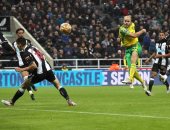 نورويتش سيتي يحرم نيوكاسل من انتصاره الأول فى الدوري الإنجليزي.. فيديو