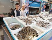 قواقع بتتاكل.. "الجراجولا" أغرب أكلة فى سوق أسماك بورسعيد.. لايف وصور