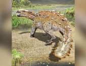 اكتشاف حفرية ديناصور مدرع بذيل يشبه السلاح فى تشيلى "صور"