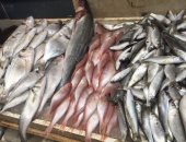  أسعار الأسماك اليوم الخميس 28-7-2022