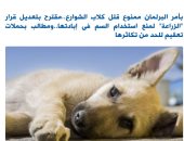 ممنوع قتل كلاب الشوارع بأمر مجلس النواب.. نقلا عن "برلمانى"