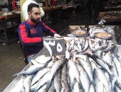 موسم الفوارغ يغزو أسواق السمك بدمياط.. الكيلو يبدأ من 30 جنيها (فيديو)