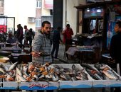 مسمار الضهر ببورسعيد.. سمكة تعالج الفقرات والمفاصل.. لايف