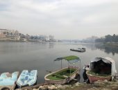 طقس بارد متقلب يحجب الرؤية بالدقهلية.. وغيوم كثيفة بسماء المنصورة.. لايف