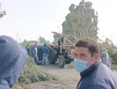 عودة حركة المرور على طريق المحلة – ميت حبيب بعد رفع شجرة ضخمة سقطت بسبب الرياح
