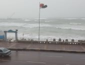 عاصفة شديدة تضرب الإسكندرية.. سقوط لافتات والموج يضرب الكورنيش.. لايف وصور