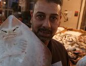 صورة اليوم.. يخلق من الشبه أربعين .."سمكة الشبين" ملامحها كوجه الإنسان 