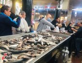 الشبار بـ15 جنيها والبورى المبطرخ بـ50 والجمبرى بـ100.. انخفاض أسعار الأسماك بالإسماعيلية.. لايف 