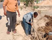محافظ سوهاج: زراعة 50 ألف شجرة ضمن مبادرة محافظة خضراء بكافة مراكز المحافظة