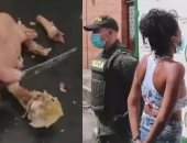 اعتقال امرأة فى كولومبيا بعد محاولة تهريبها المخدرات فى عظام "دجاجة مشوية".. صور