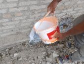 "زراعة الإسكندرية": رش المبيدات بقرى بنجر السكر للحد من انتشار النمل الأبيض