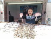 بورى بورسعيد المبطرخ بـ50 جنيها.. أنواع وأسعار الأسماك اليوم.. لايف وصور