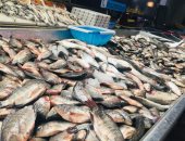 الكابوريا بـ40 جنيها والبورى المبطرخ بـ60.. اعرف أسعار أسماك القنال.. لايف وصور