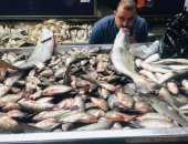 انخفاض أسعار الأسماك باالإسماعيلية وإقبال كبير على البورى والسهلية.. لايف