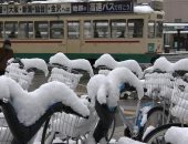 تساقط كثيف للثلوج يعطل حركة المرور في اليابان .. فيديو