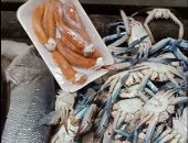 كيلو البطروخ بـ 350 جنيها والجمبرى بـ 110 فى سوق السمك بالإسماعيلية.. فيديو