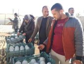 رئيس مدينة تلا توضح تفاصيل ضبط مصنع تصنيع جبن من مواد غير صالحة للاستخدام الآدمى