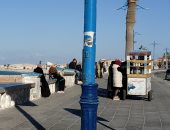 بعد موجة الصقيع والمطر.. أجواء صافية وسطوع الشمس على مطروح طوال النهار.. لايف