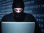 أمريكا وهولندا يبحثان سبل التعاون فى مواجهة الجرائم الإلكترونية
