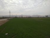 أجواء غائمة وطقس مائل للبرودة بقنا.. لايف