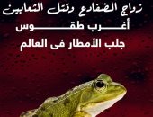 زواج الضفادع وقتل الثعابين.. أغرب طقوس جلب الأمطار فى العالم.. فيديو
