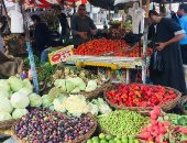  الزراعة: ارتفاع أسعار بعض الخضروات نتيجة تأثرها بحالة الطقس