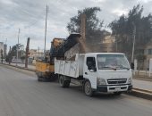 محافظة الجيزة ترفع 52 ألف طن مخلفات وقمامة من الشوارع خلال أسبوع