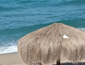 سطوع الشمس واستقرار حالة الطقس بالإسكندرية ..لايف وصور