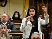 خطة النواب: قانون التخطيط يتفق مع الاستحقاقات الدستورية